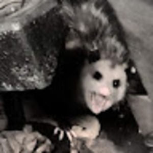 Meet your Posher, Richard